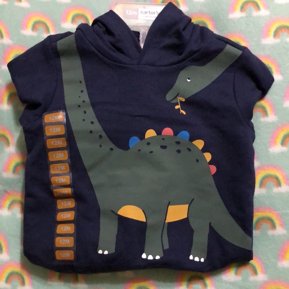 Carter’s 2-pc Dinosaur Pant Set Final Price - Picture 13 of 13